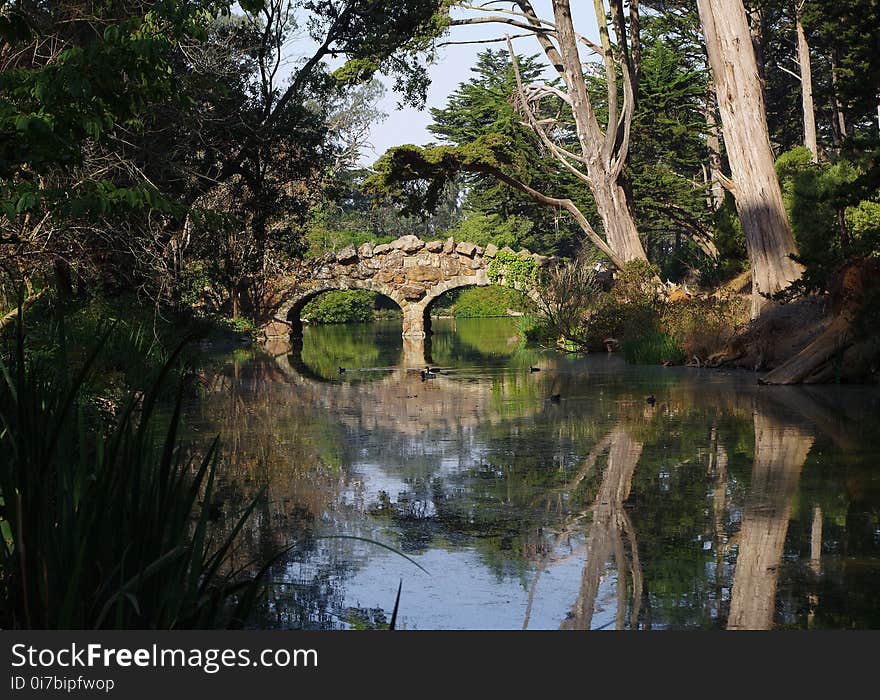 Reflection, Nature, Nature Reserve, Water