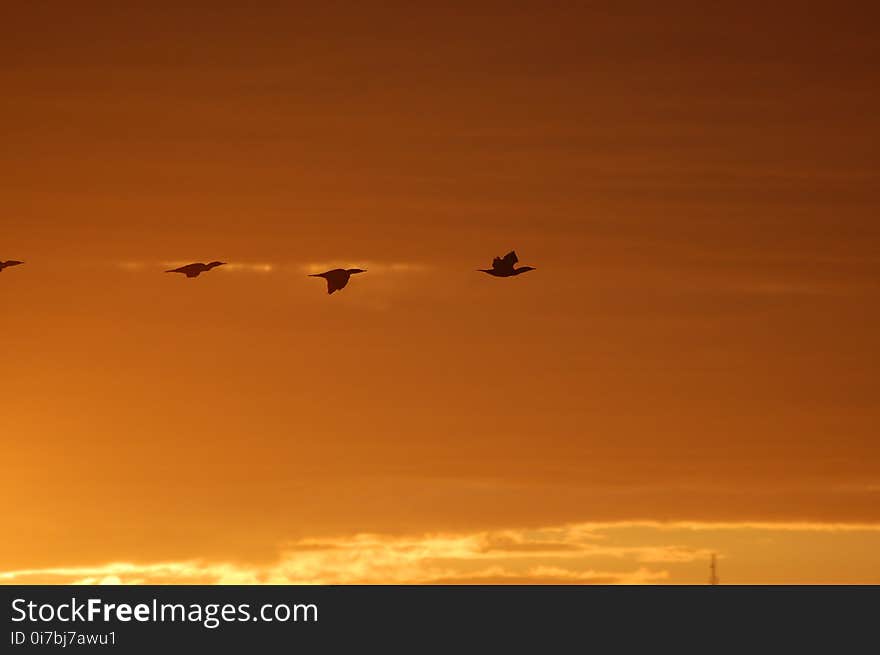 Sky, Afterglow, Horizon, Atmosphere Of Earth