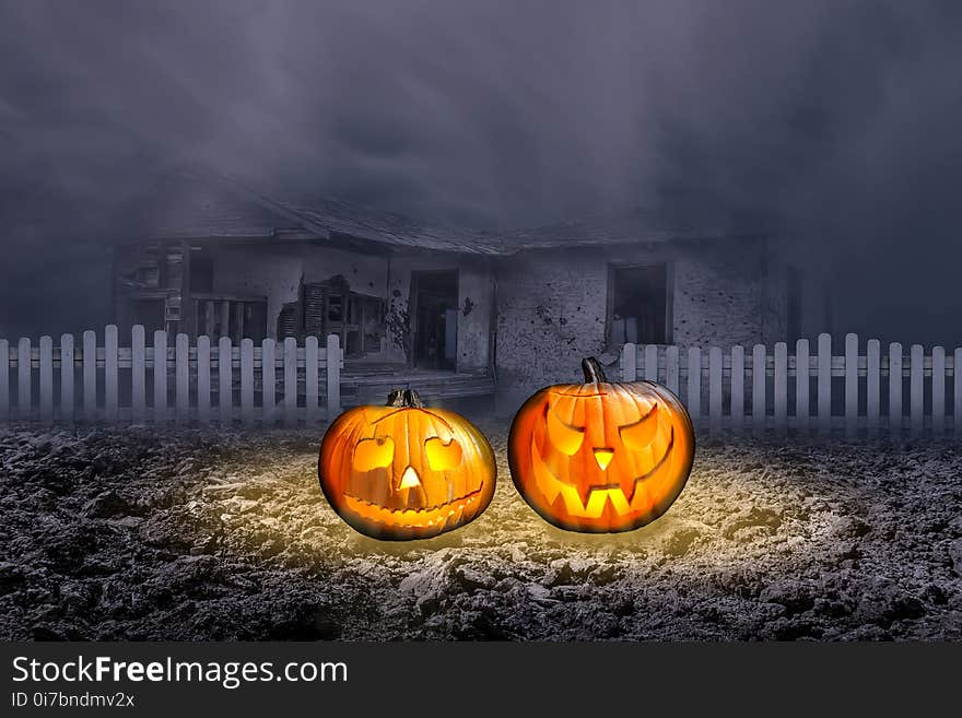 Pumpkin, Halloween, Calabaza, Phenomenon