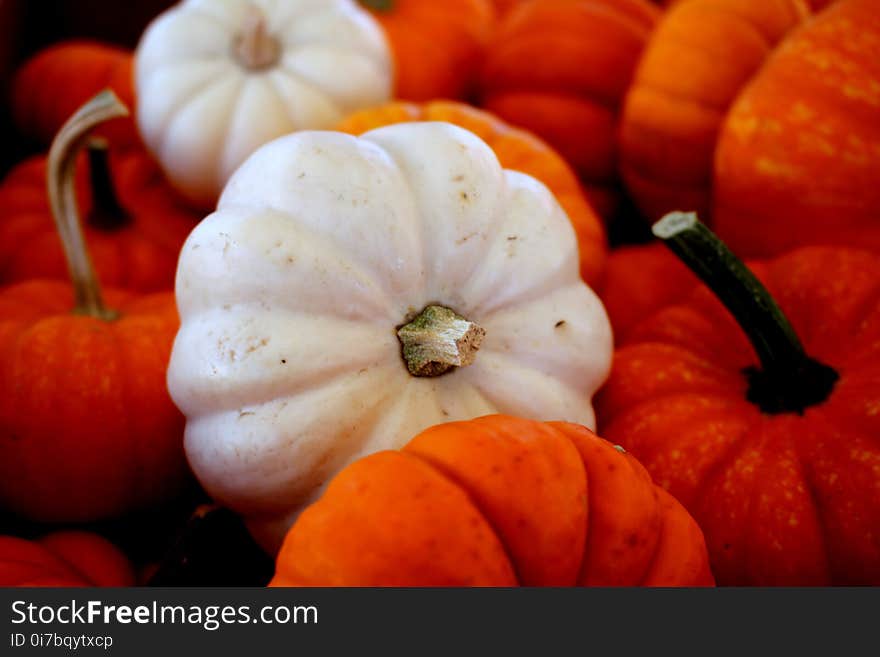 Vegetable, Winter Squash, Cucurbita, Local Food