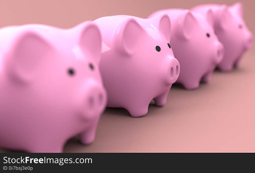 Pink, Piggy Bank, Nose, Close Up