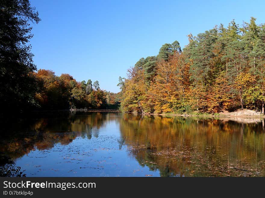 Reflection, Water, Nature, Leaf