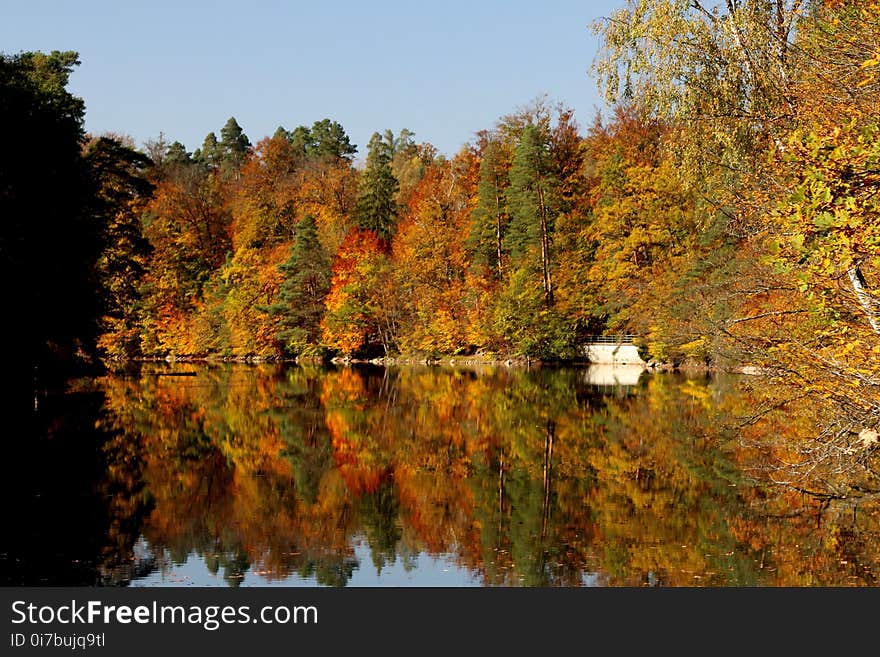 Reflection, Water, Nature, Waterway