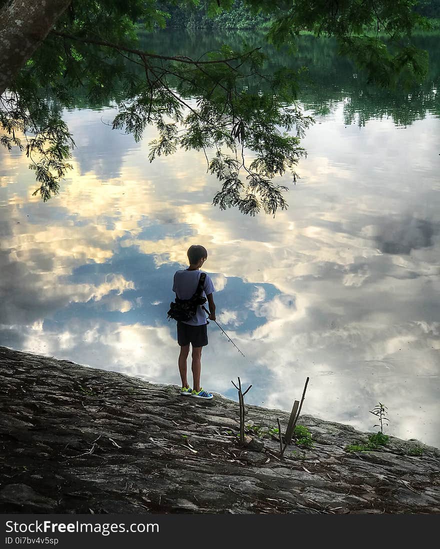 Water, Tree, Sky, Nature