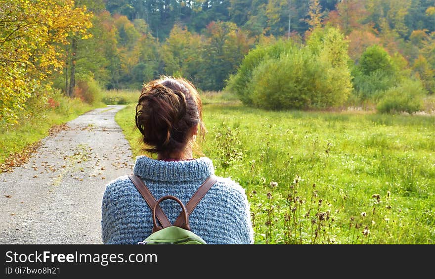 Nature, Green, Tree, Leaf