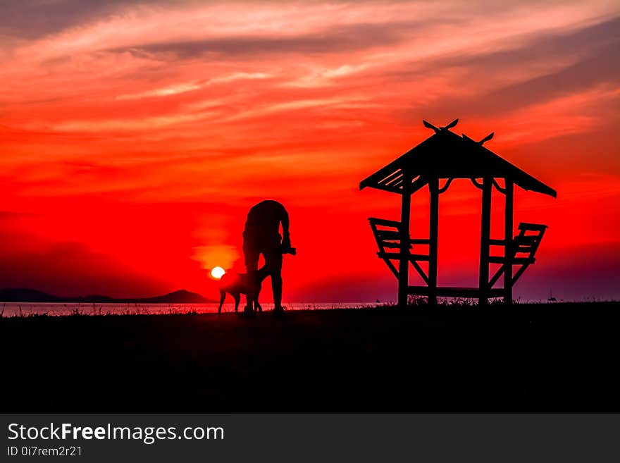 Blur of sunset background ,man with dog and little hut