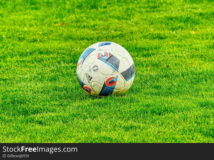 Grass, Football, Green, Ball