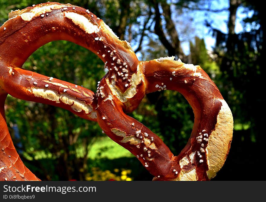 Close Up, Pretzel, Animal Source Foods