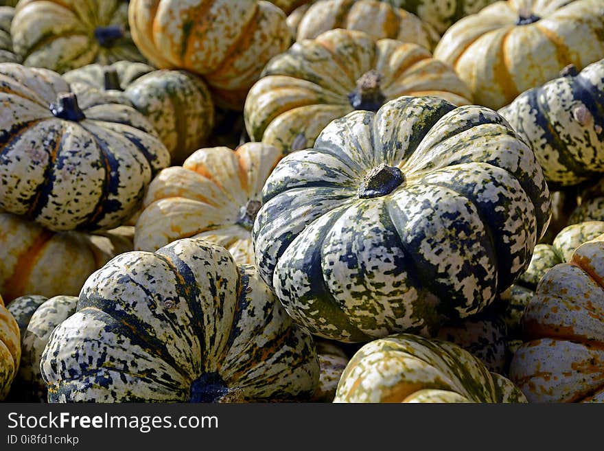 Vegetable, Winter Squash, Cucurbita, Produce