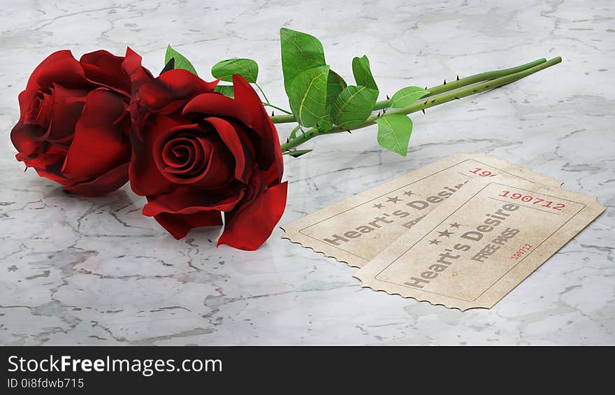 Flower, Red, Garden Roses, Rose