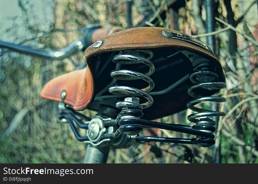 Helmet, Grass, Personal Protective Equipment, Tree