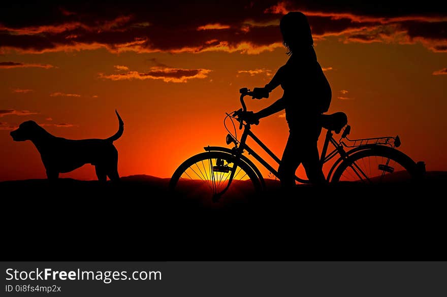 Sky, Sunrise, Silhouette, Sunset