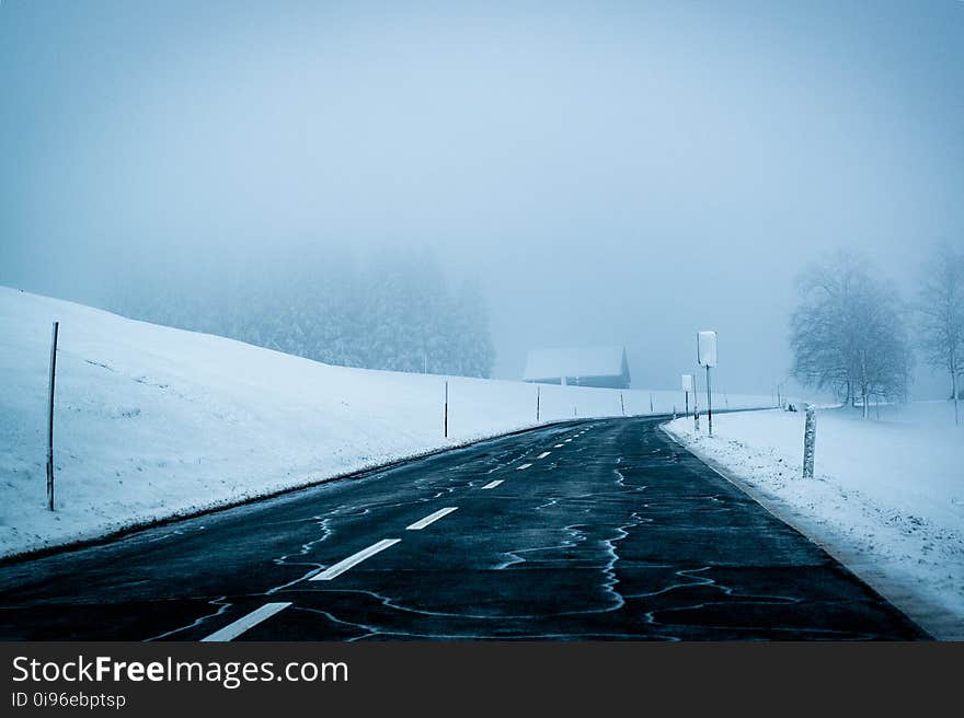 Asphalt, Cold, Fog, Foggy