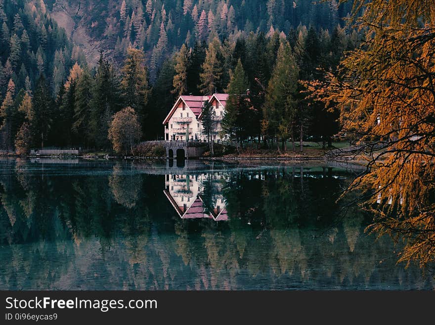 Architecture, Autumn, Conifer, Dawn,