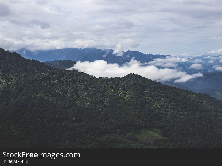 Background, Clouds, Daylight, Forest