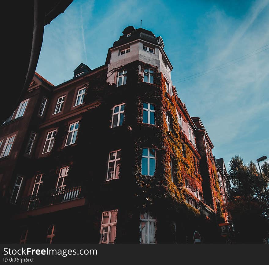 Apartments, Architecture, Bricks, Building