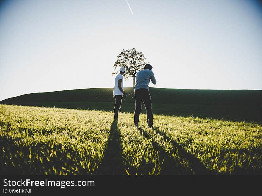 Adult, Countryside, Cropland, Farm