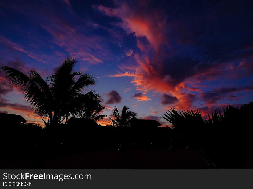 Clouds, Dawn, Landscape, Nature