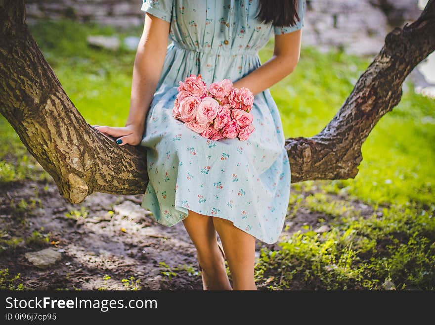 Blur, Dress, Female, Flower