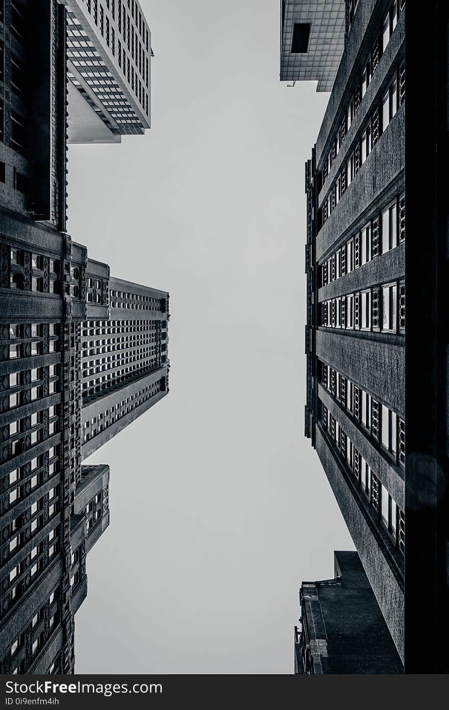 Low-angle Photography of High-rise Buildings at Daytime