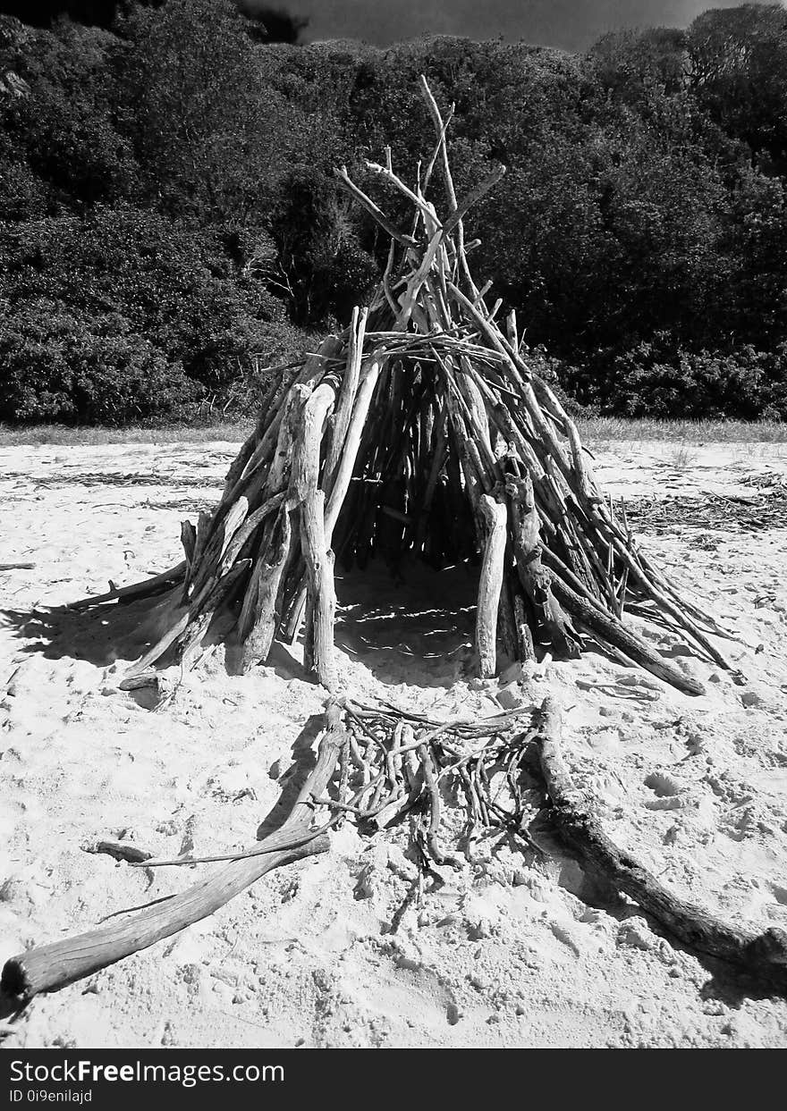 Twig Tent on Seashore