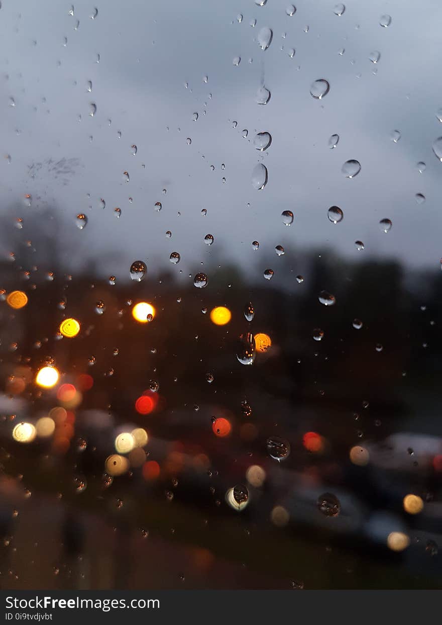 Bokeh, Close-up, Dew, Droplet