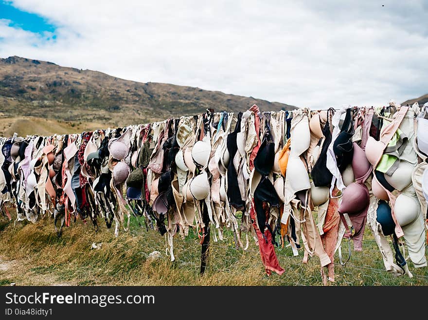 Herd, Grass, Tree, Grassland