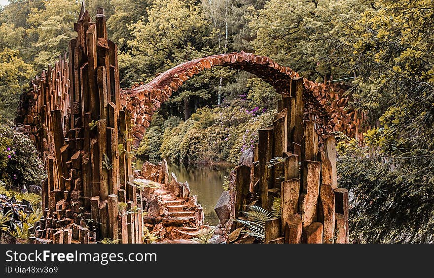 Vegetation, Tree, Plant, Ruins