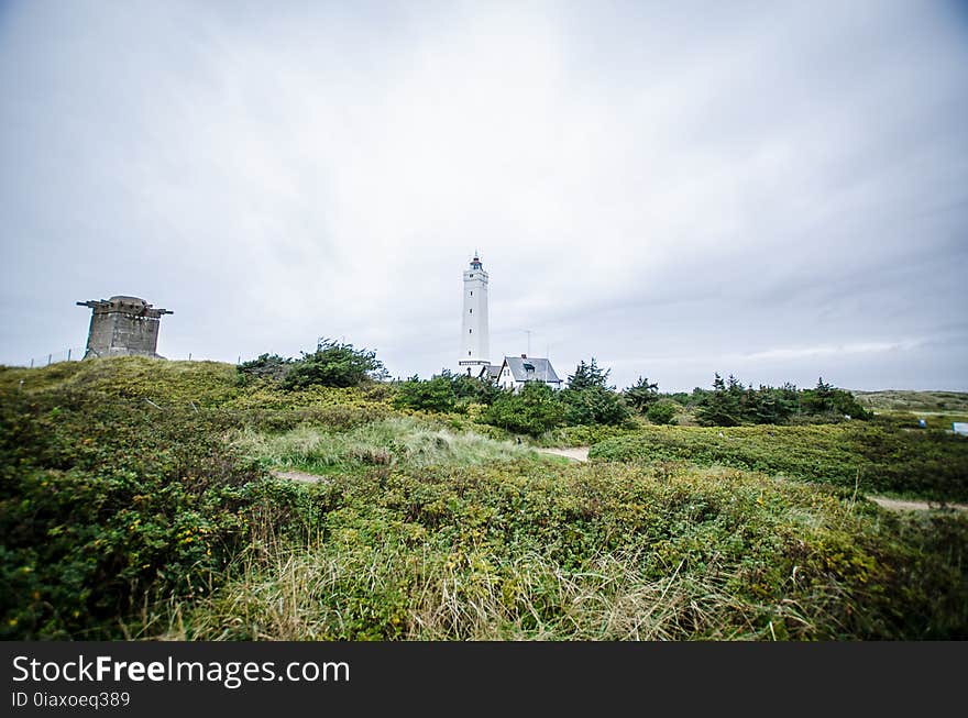 White Lighthouse in the Background of Green Fields