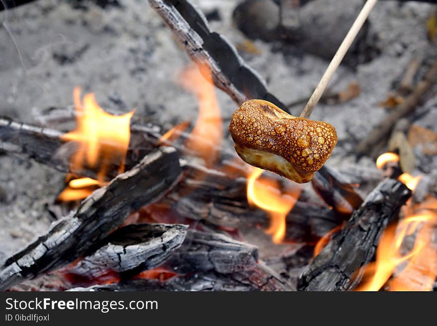 Grilling, Fungus, Animal Source Foods