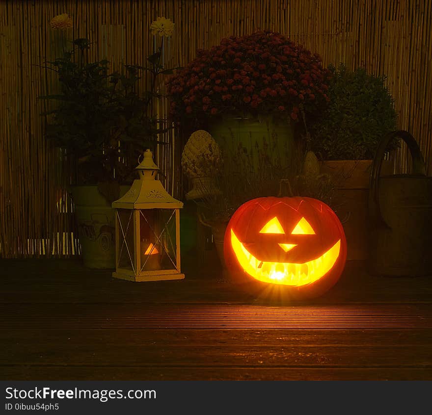 Lighting, Halloween, Jack O Lantern, Pumpkin