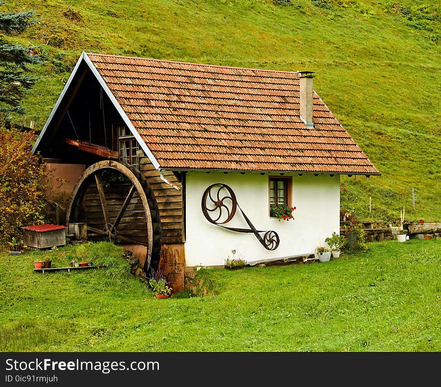 Cottage, Hut, House, Grass