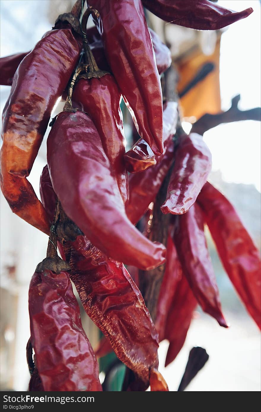 Cayenne, Chillies, Close, -up