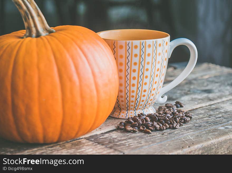 Orange Pumpkin Near White Ceramic Mug With Seeds