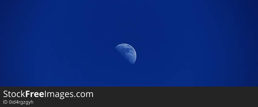 Sky, Blue, Jellyfish, Daytime