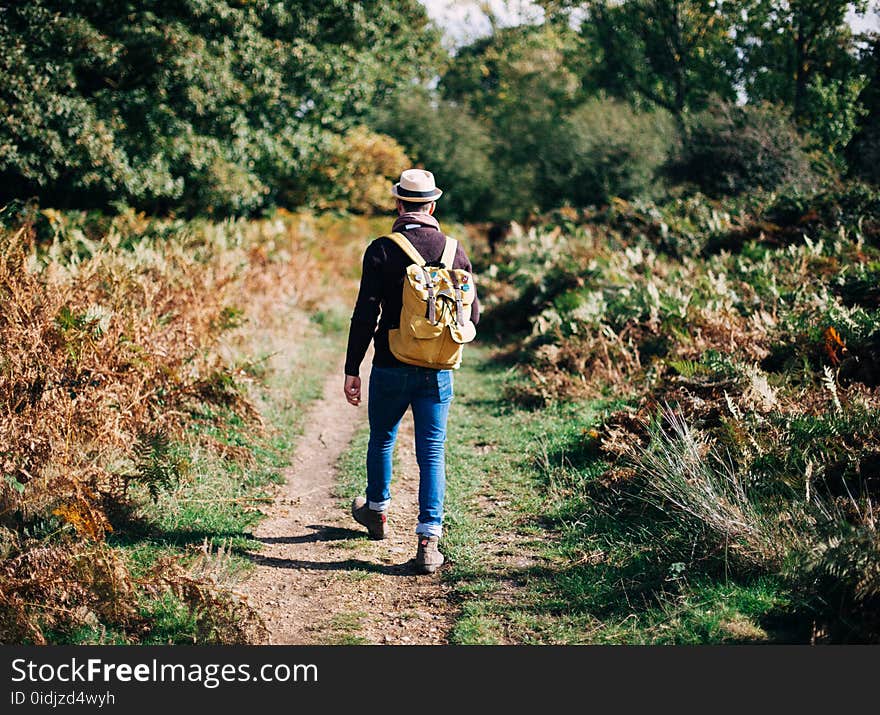 Adult, Adventure, Backpack, Backpacker