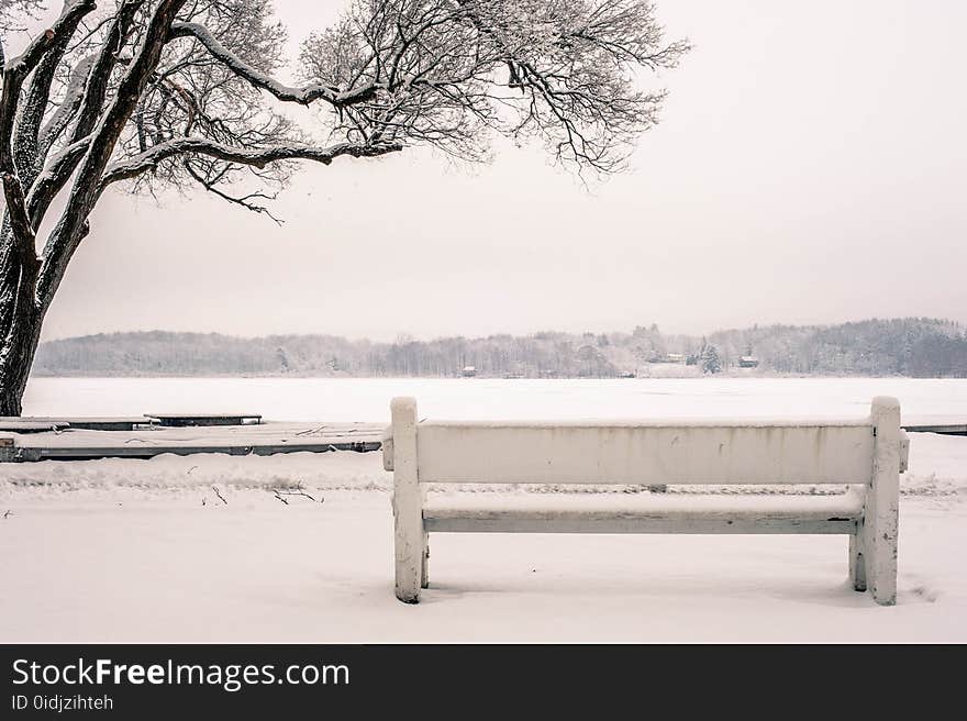 Bench, Cold, Fog, Foggy