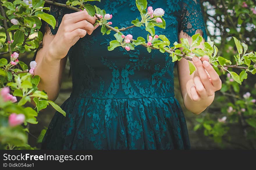 Woman Holding Green Leafed Plant