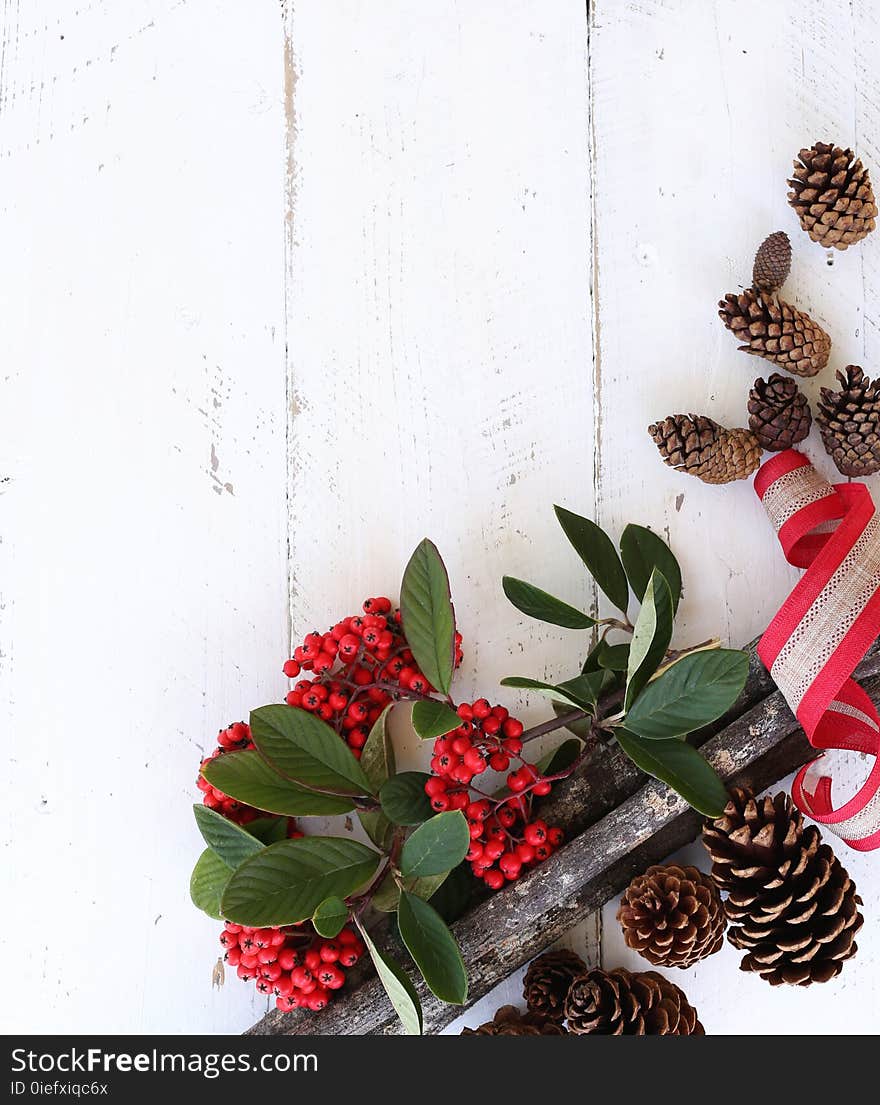 Red Fruits and Brown Pine Cones on White Wooden Surface