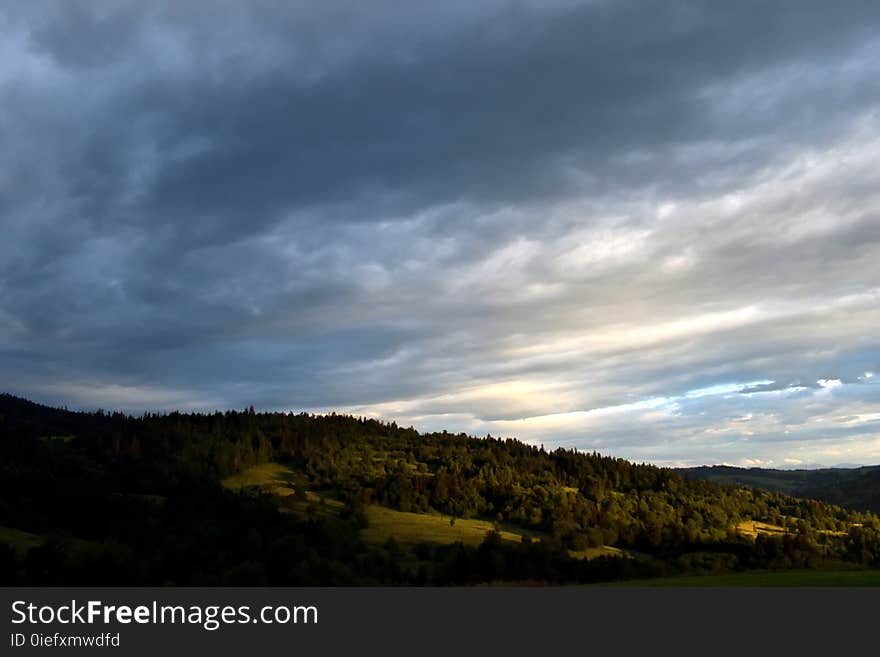 Forest & clouds