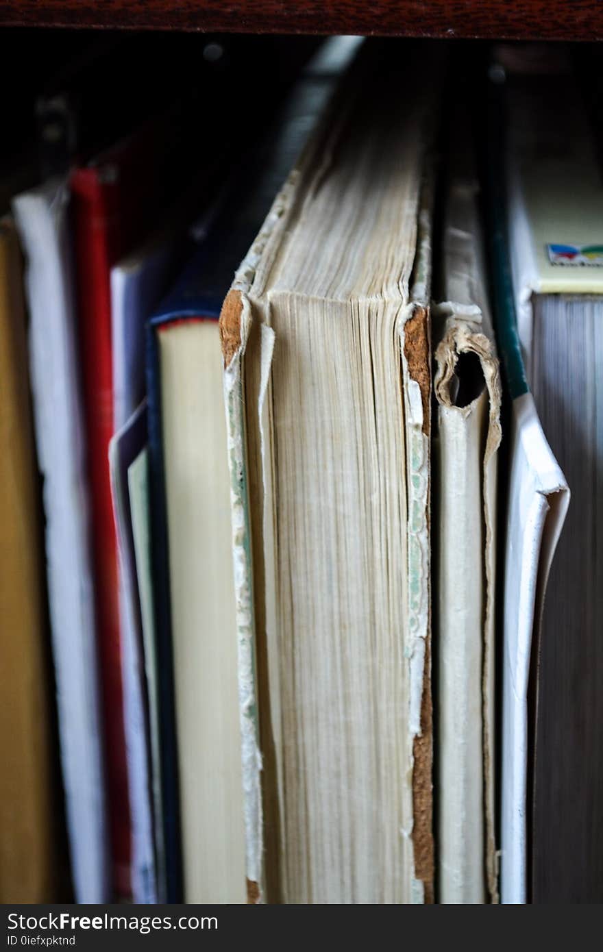 Closeup Photo of Book Filed on Shelf