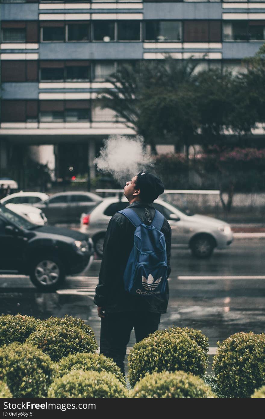 Man Wearing Black Jacket And Blue Adidas Backpack