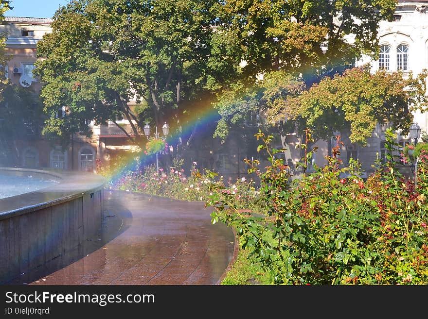 Street fountain makes rainbow