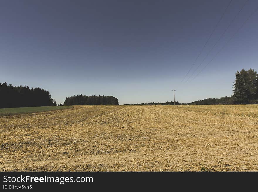 Countryside, Environment, Field, Idyllic,