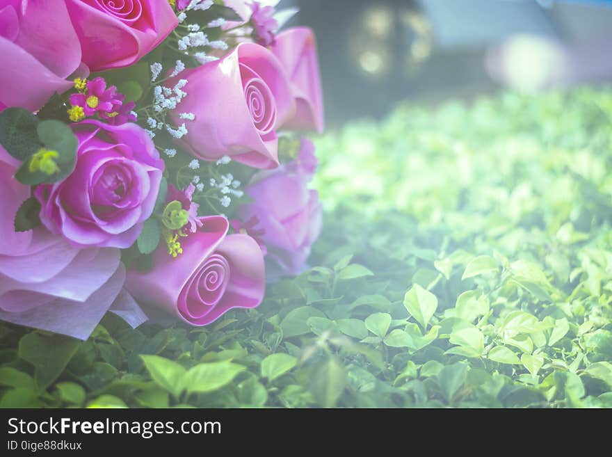 Bouquet of artificial roses vintage style. beautiful purple flower.