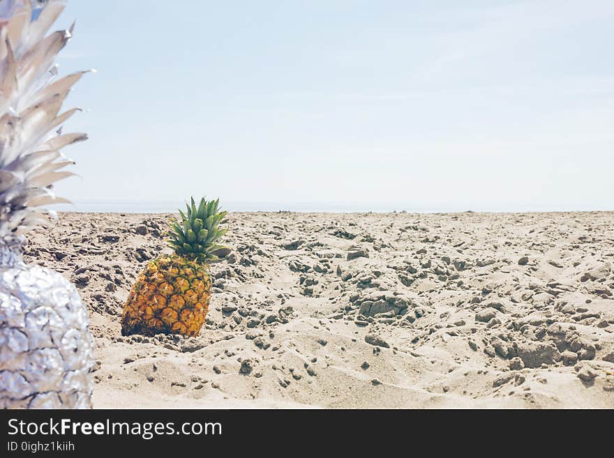 Adventure, Arid, Art, Beach