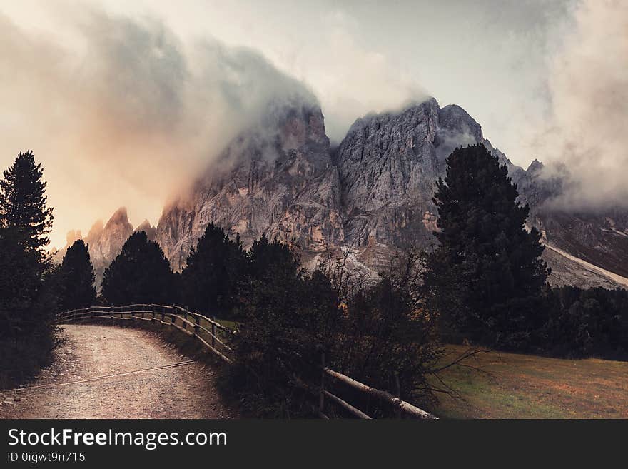 Grey Mountain Near Trees