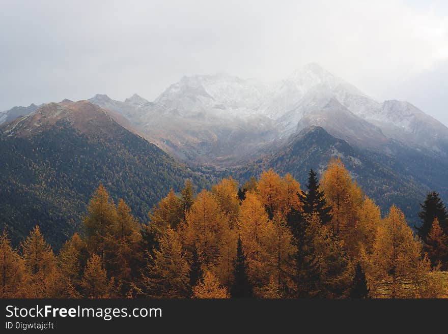 Aerial Photography of a Mountain