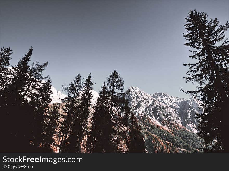 Snow Covered Mountains