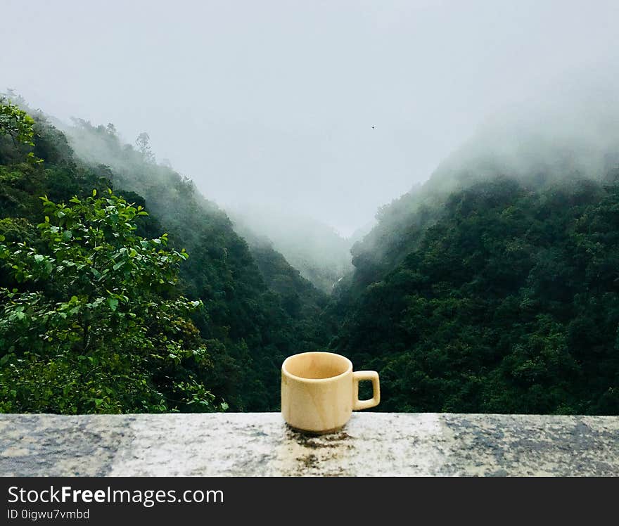 White Ceramic Cup